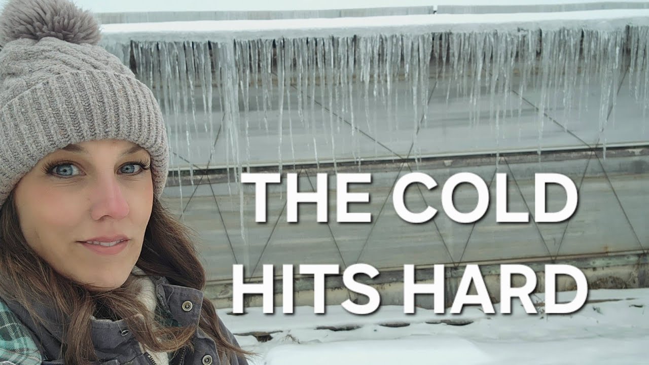 Cold Snap Rolls In - The Farm Feels It #farmfreeze #coldweather 