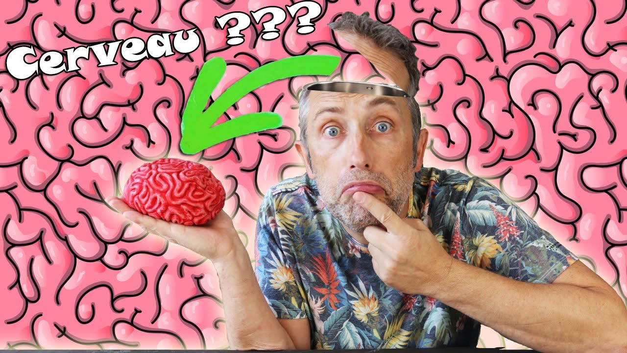 PAPOUNET a t il un CERVEAU ? c'est pas sur...