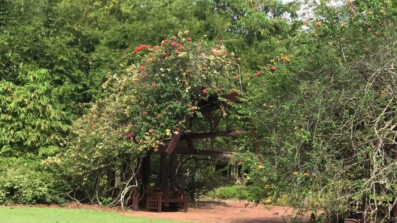 Botanic Gardens, Singapore