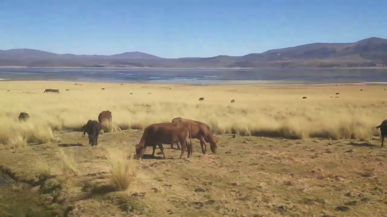 Paseando por la Rutas de Parinacochas ( Yurawasi - Ayacucho )