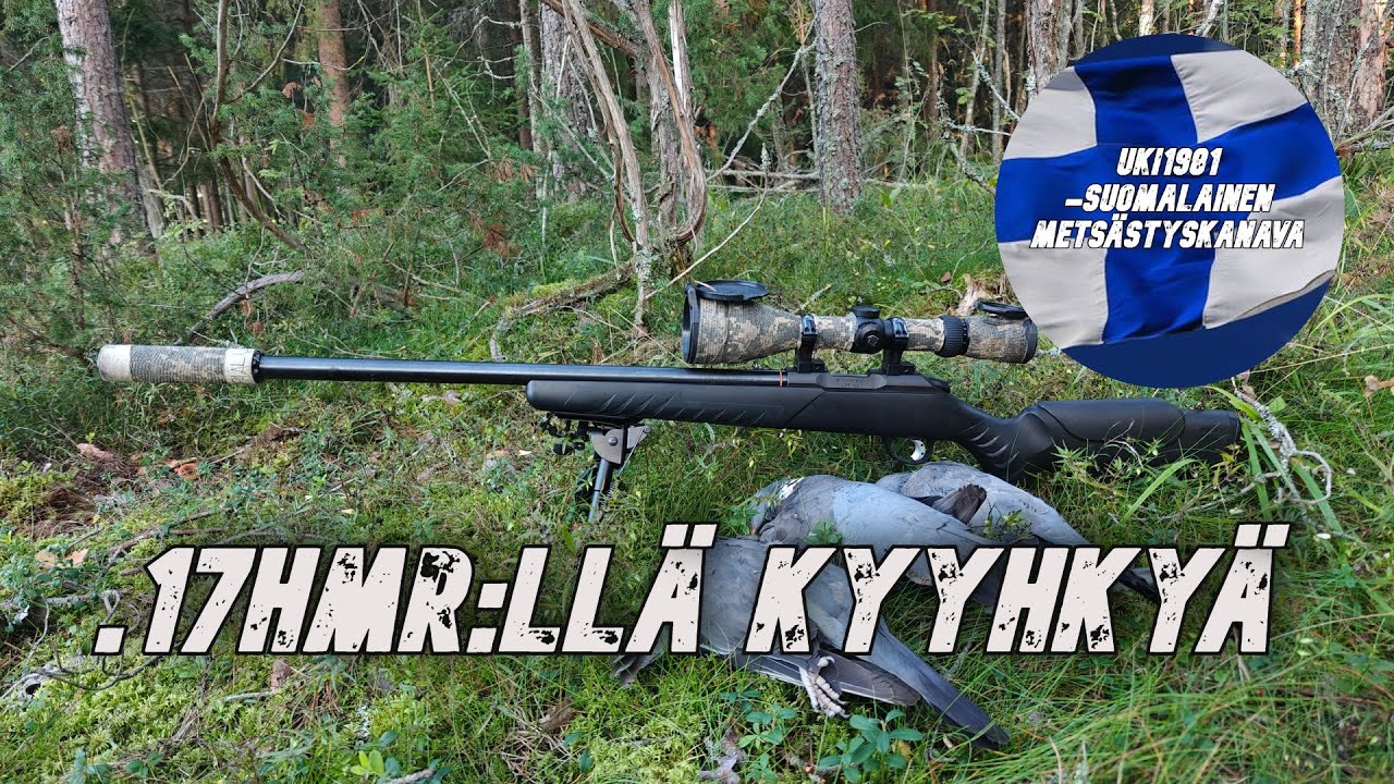 Kyyhkyjahtia - .Sako Quad 17HMR. 4K