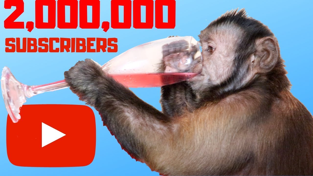 MonkeyBoo Celebrates 2 MILLION Subscribers! (PARTY)