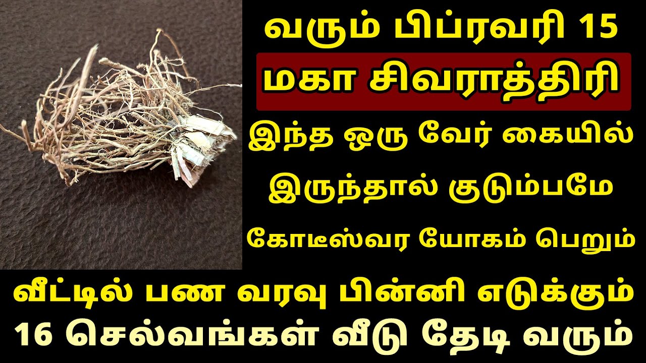 வரும் Feb-15 மகா சிவராத்திரி இந்த வேர் இருந்தால் யோகம் தான்! Maha Sivarathri 2026 | Shivaratri