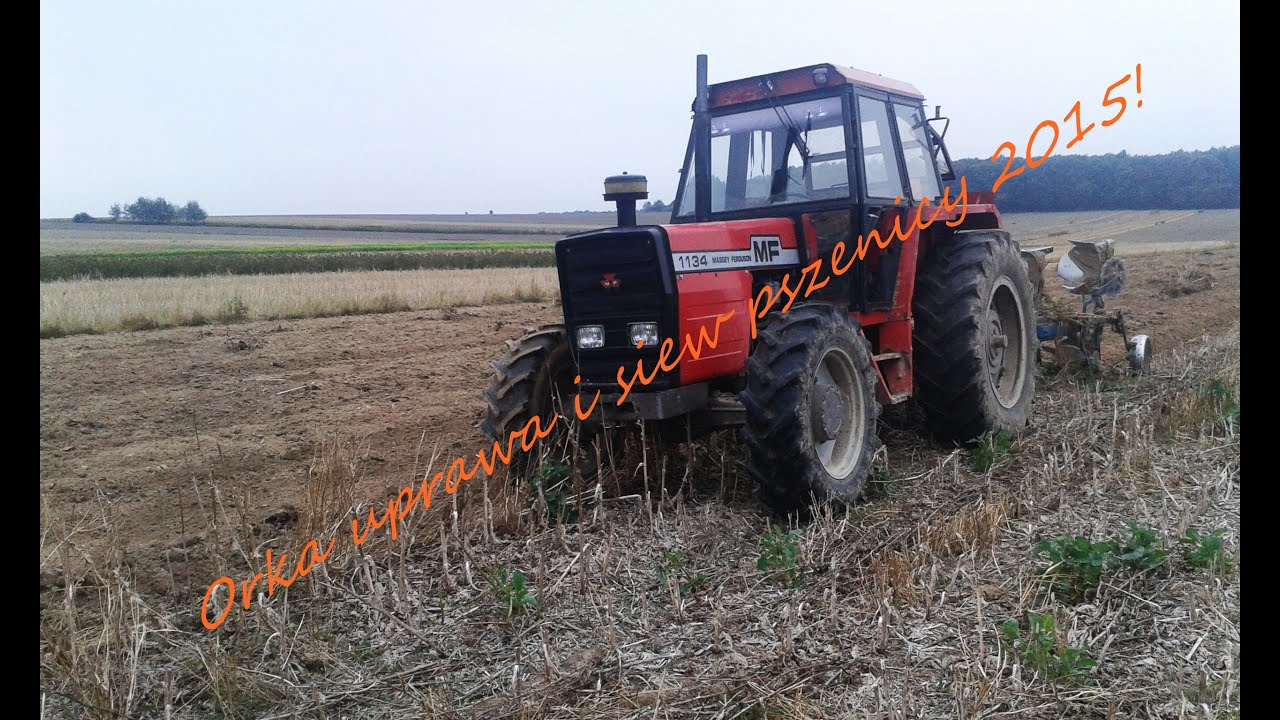 Orka uprawa i siew pszenicy 2015 !