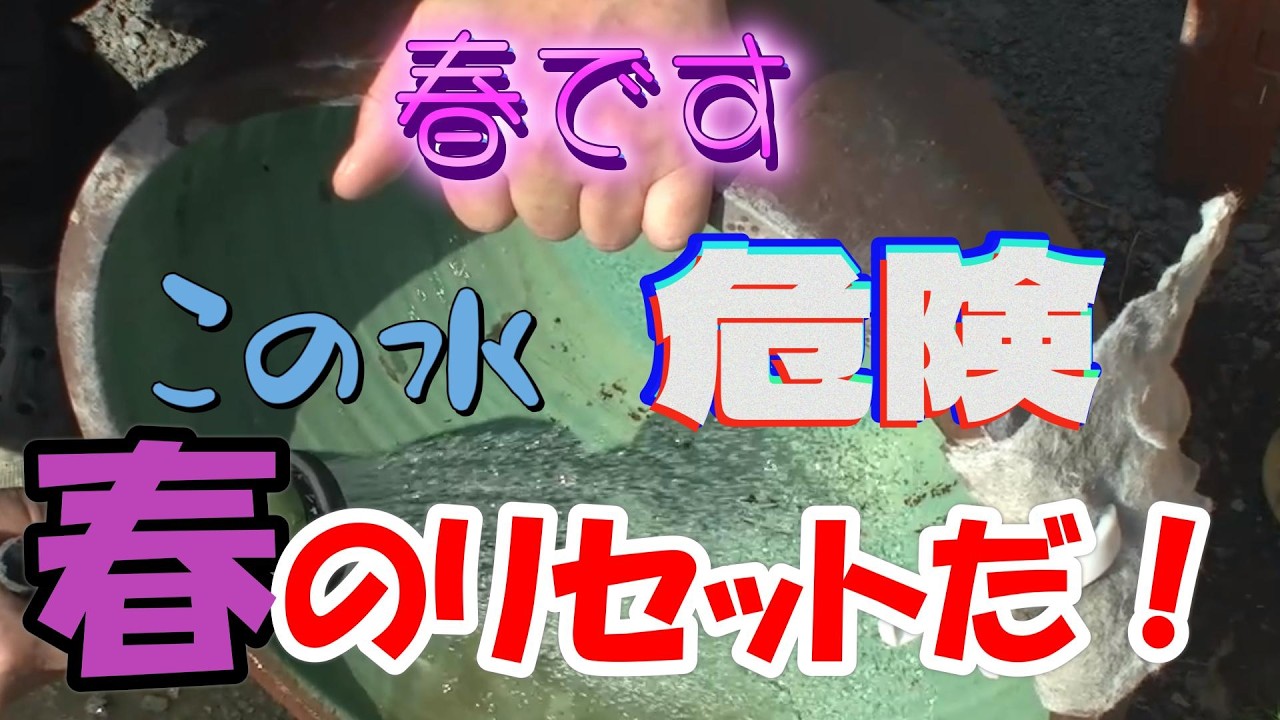 水温が上がると水が変化します！この水はよくないですね(;'∀')「春のリセット」をやってみました