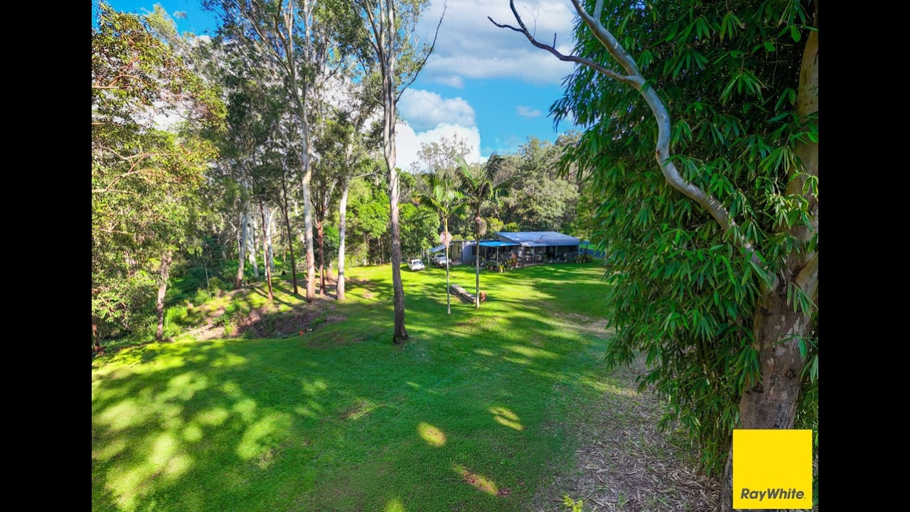 🌿 Hinterland Living on Over 1 Acre | 20 Zingelmann Road, Wondecla QLD