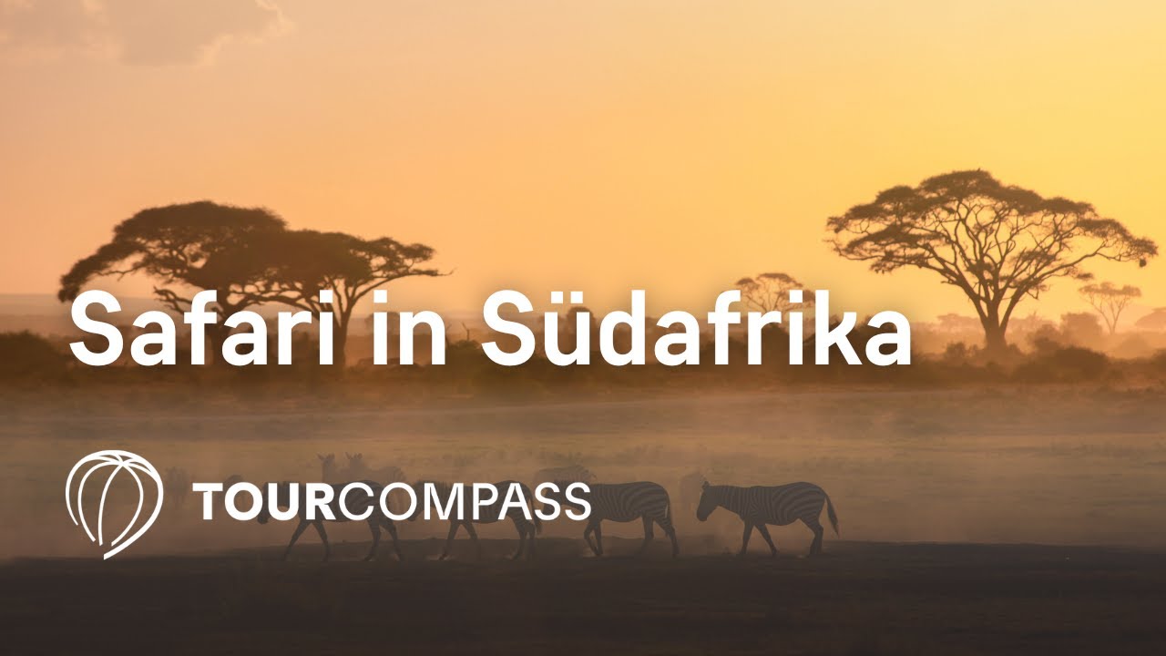 Safari in Südafrika