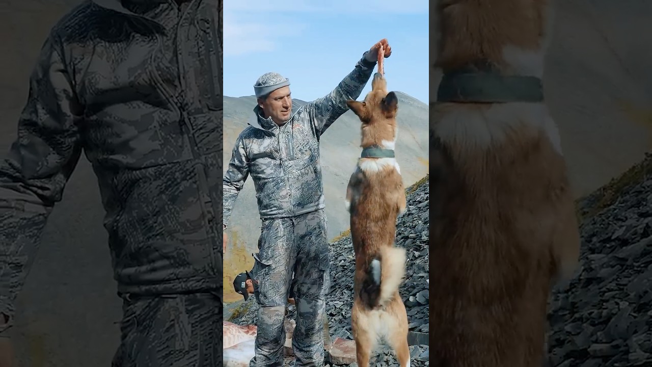 Place of Power 🏔️ #hunting