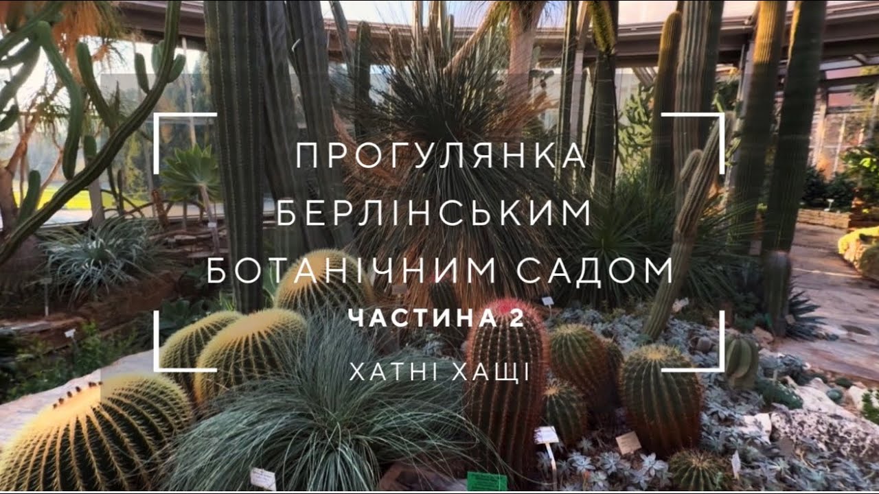 Берлінський ботанічний сад | Частина 2 | сукуленти