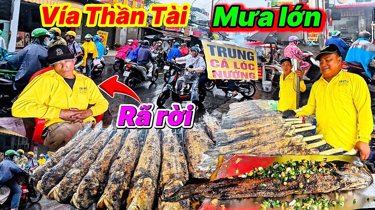 Vía thần tài mưa kinh khủng khiếp, Tân Kỳ Tân Quý cá lóc phải chờ