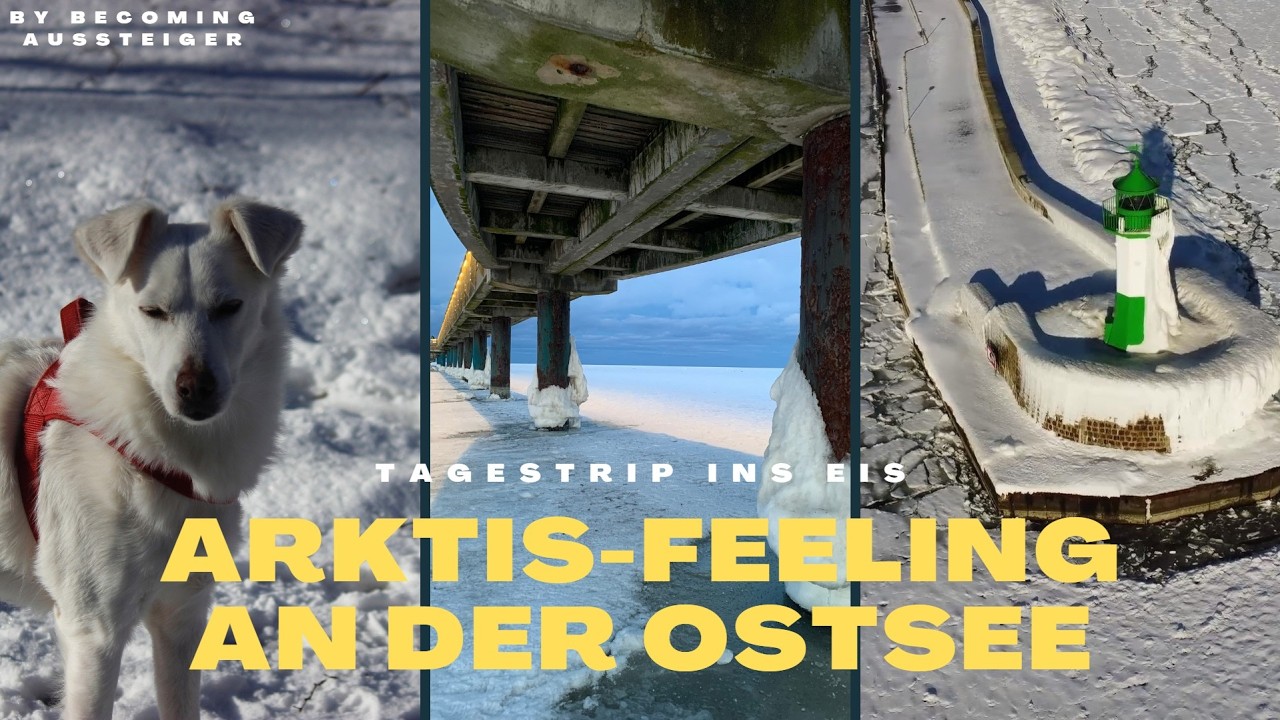 Ostsee 2026 - Leuchtturm aus Eis I Sassnitz, Binz und das Eis