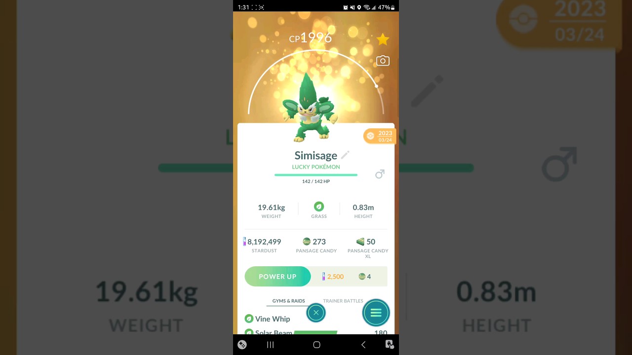 Lucky Pan Family! Panpour, Pansage, Pansear! Pokemon Go! #pokemon #pokemongo #pok&eacute;mongo