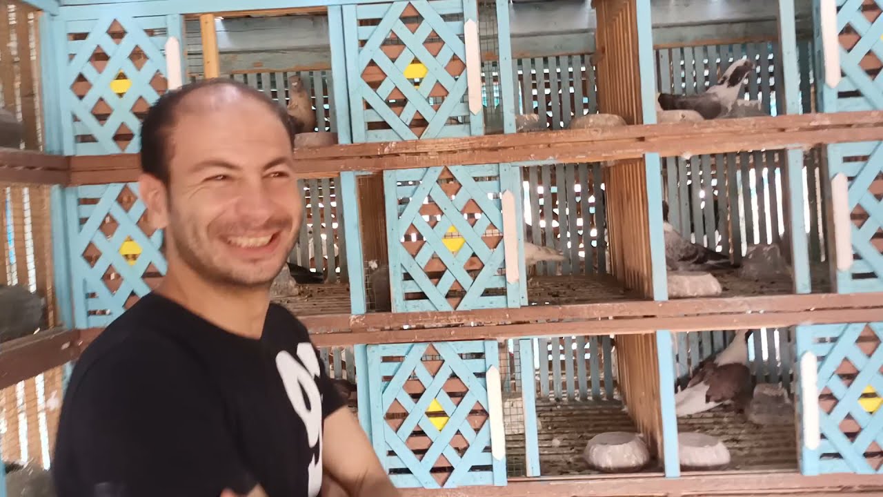 زياره#الشيخ مكي_فرجه لحمام النش والابلق غيه الابطال مع محمد يوسف بولاق ابو العلاء