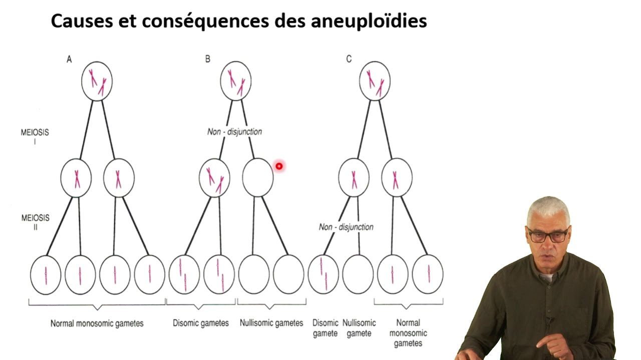 Cours N° 10: Aberrations chromosomiques: - Anomalies de nombre