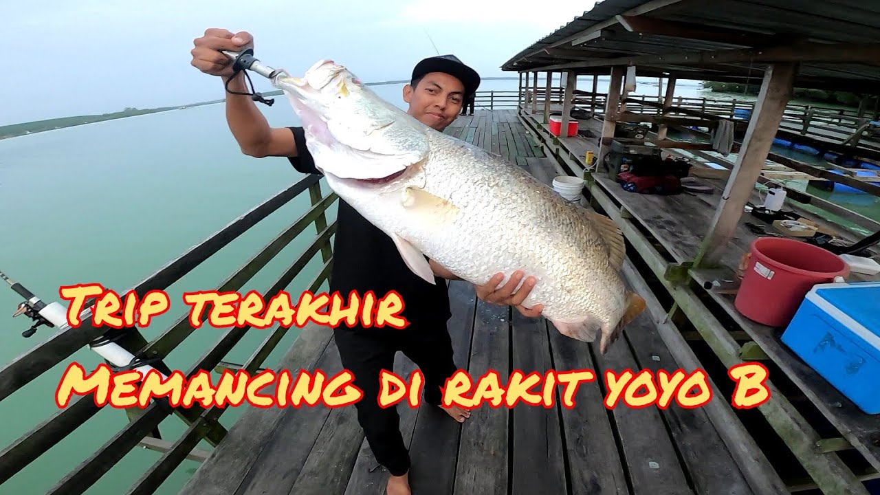 MANCING DI RAKIT B RAKIT YOYO SUNGAI LAYANG|TRIP TERAKHIR MEMANCING 2022