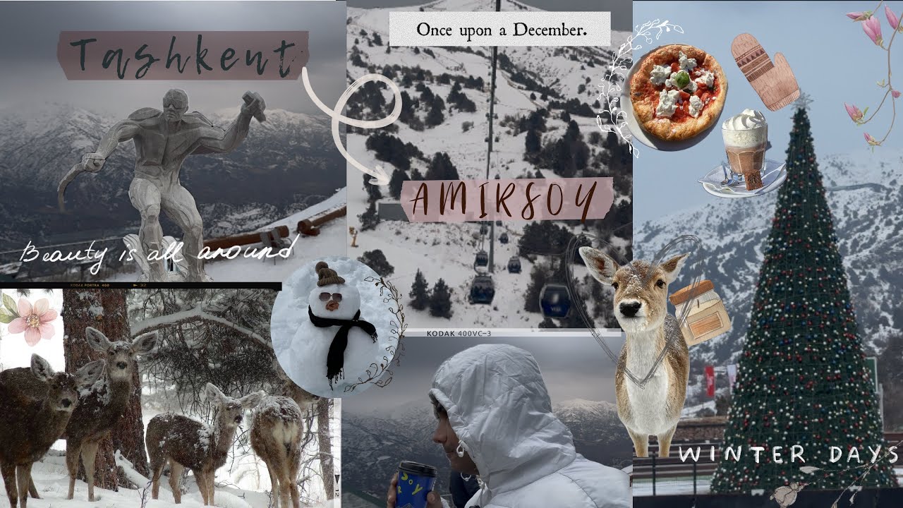 This Winter Paradise Is Just 1 Hour from Tashkent 😳 | Amirsoy Day-2