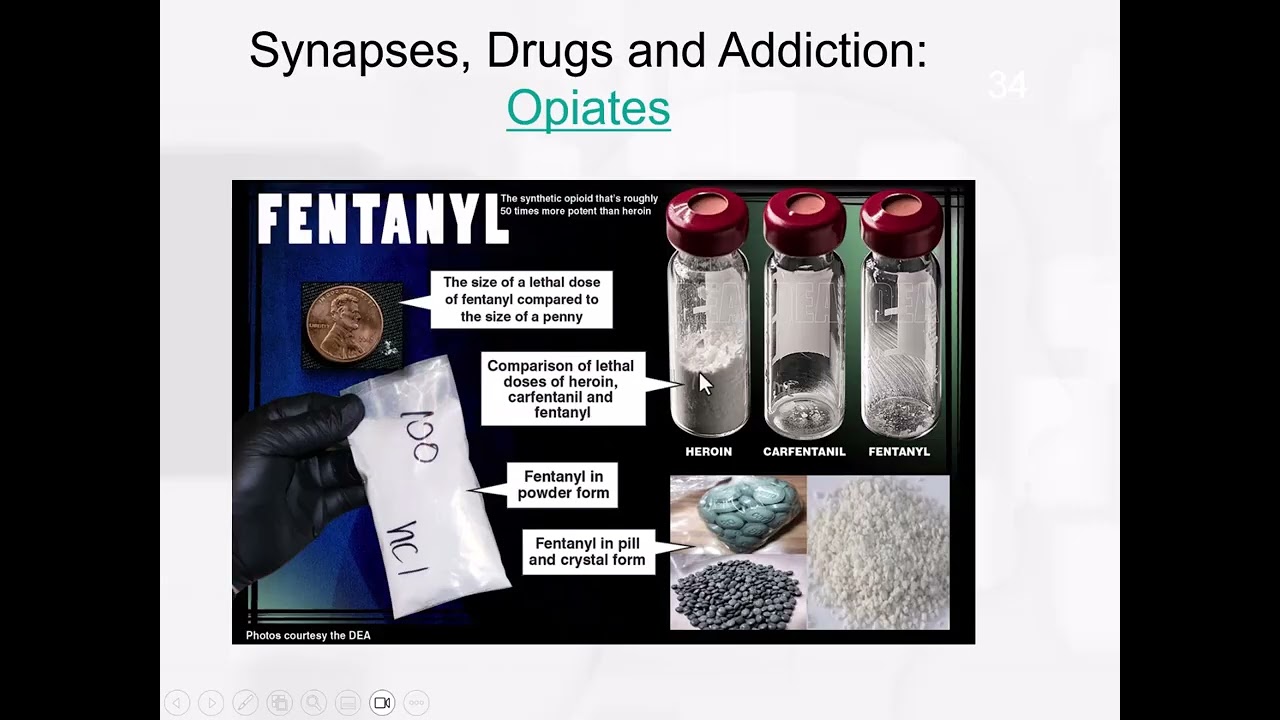 Chapter 12 - Depressants