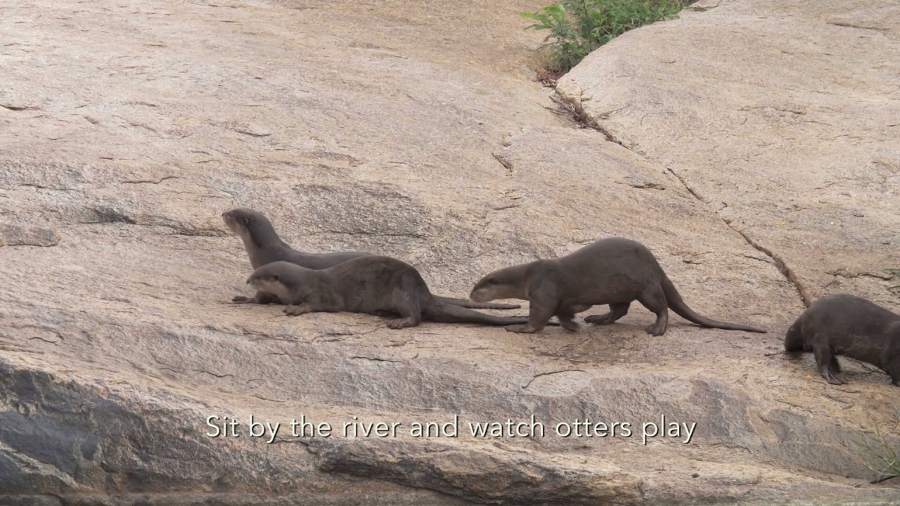 Hampi Homestay On otter's island