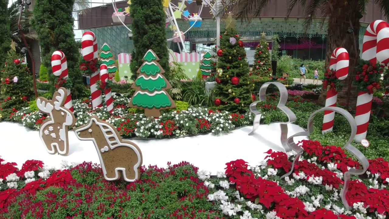Christmas 2021 Gardens by the Bay Singapore (Flower Dome)