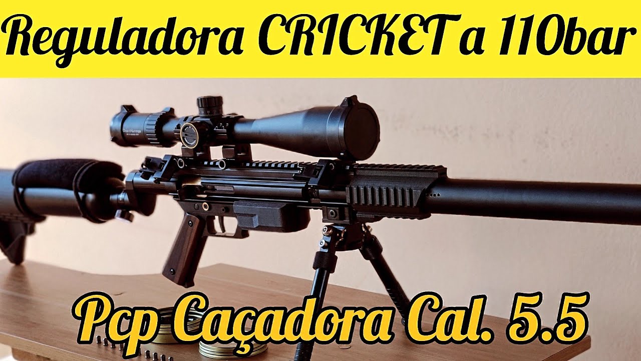 VALVULA REGULADORA CRICKET E PCP CA&Ccedil;ADORA 5.5 AGRUPAMENTO A 25M COM RIFLE THUNDER