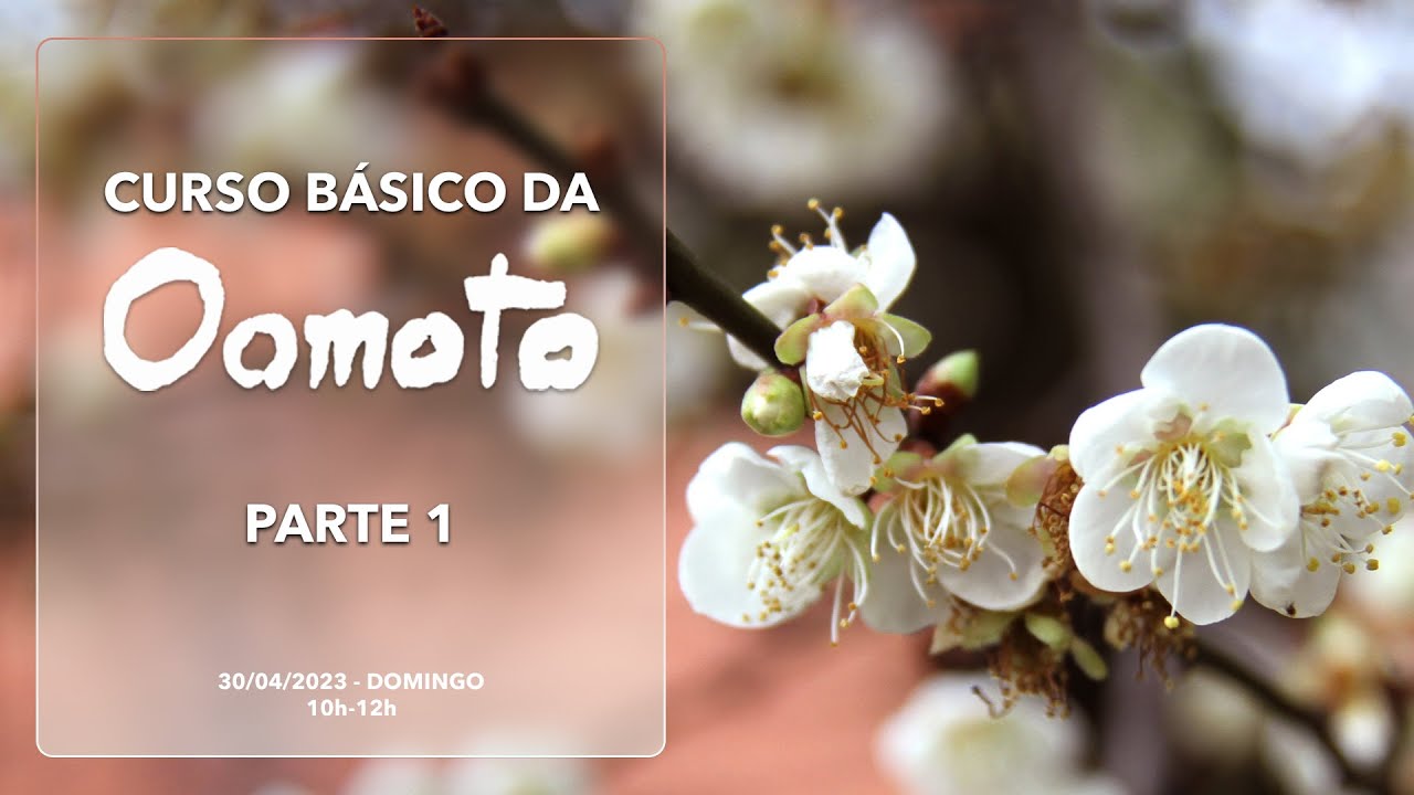 Curso B&aacute;sico da Oomoto - Parte 1