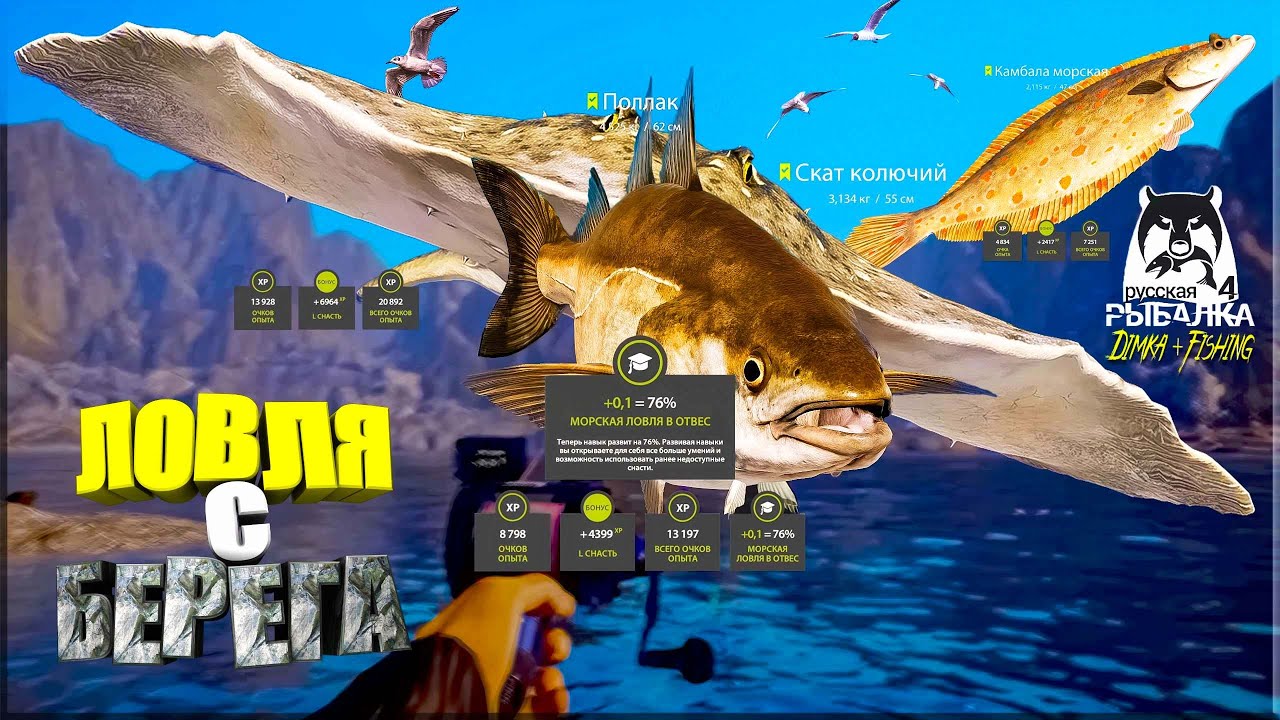 Русская рыбалка 4. 🎣🦈 Норвежское море 🧜‍♂️ 🐋🐡🐡💦 ЛОВЛЯ с БЕРЕГА 👀