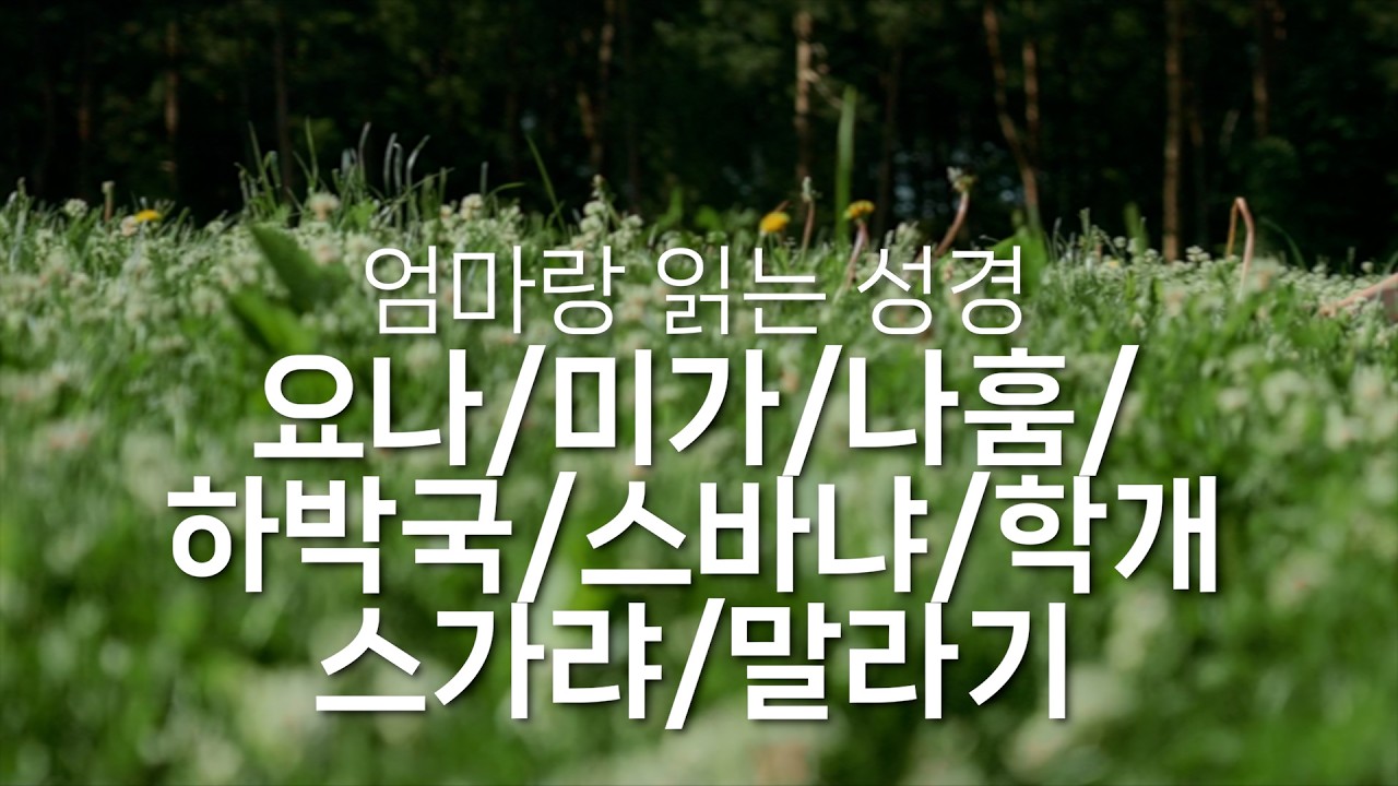요나 / 미가 / 나훔 / 하박국 / 스가랴 / 말라기. (1달1독). 바이블 동서남북