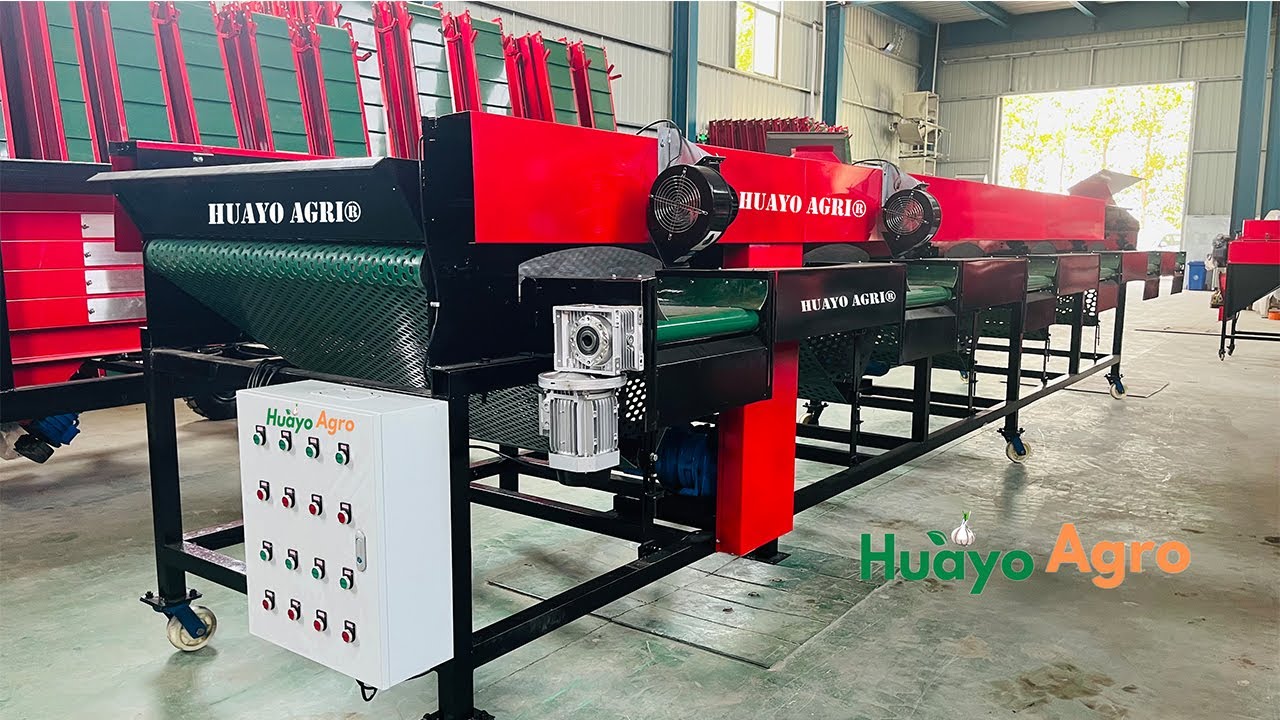 HGB -10S Solo Garlic Sorting Machine test 100% perfect Ready to deliver