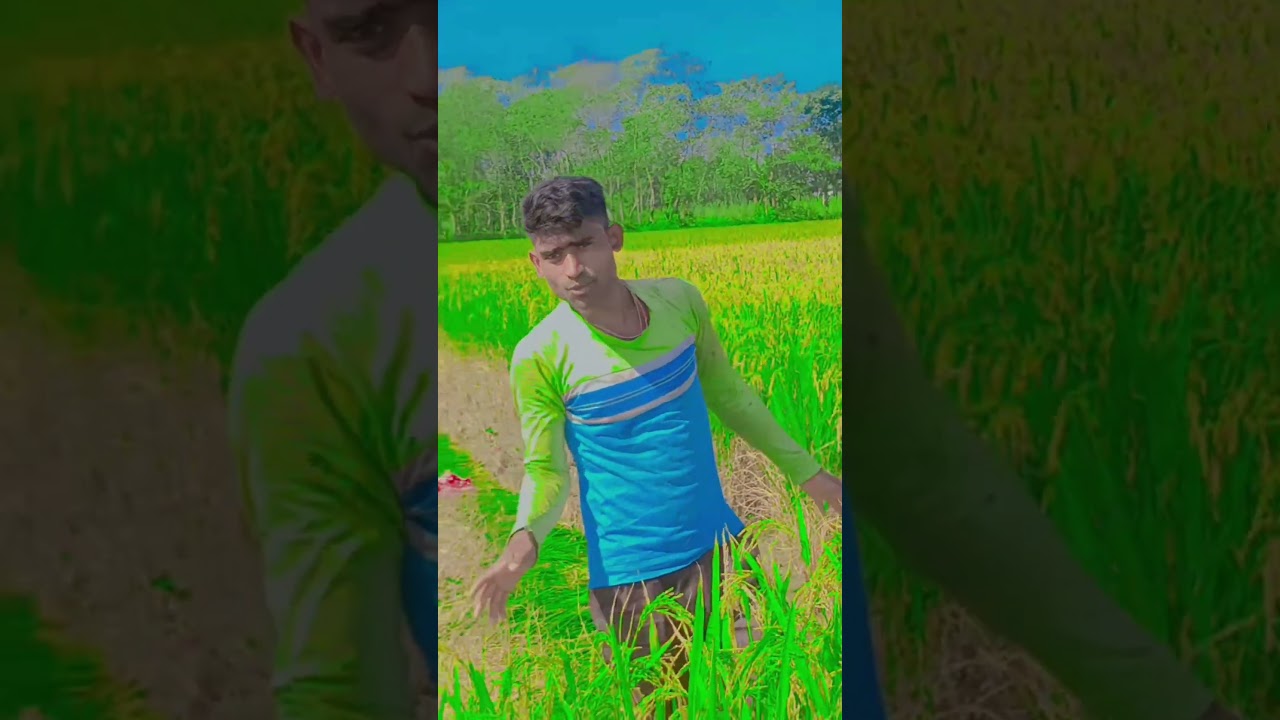 tomari jono