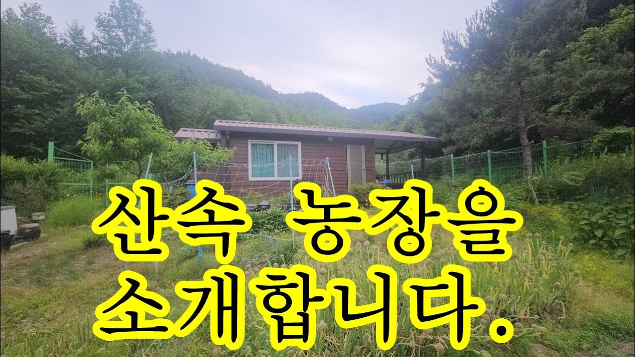 “청주 인근 귀농지 찾는다면 이 땅, 무조건 봐야 합니다!” 청주시 상당구 미원면 운암리 과수원 주말농장 매물! 암반지하수+농전+과실수+창고까지~~