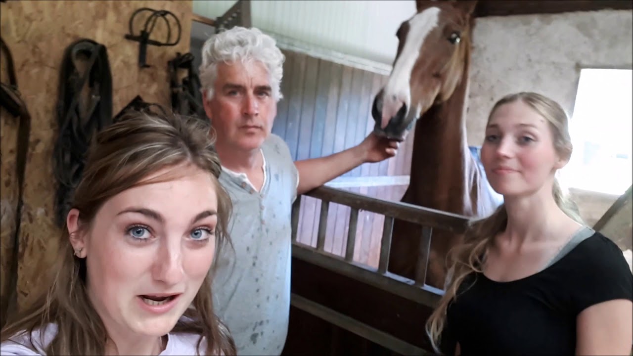 VLOG #2 *On Tour* Tuigpaardrijder Leendert Veerman + tweespanrijden