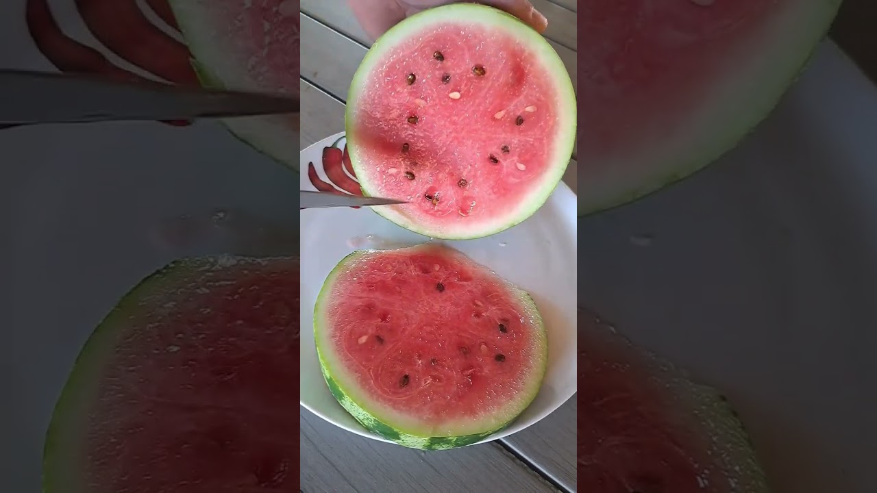 🍉 Wassermelone unfreiwillig geerntet