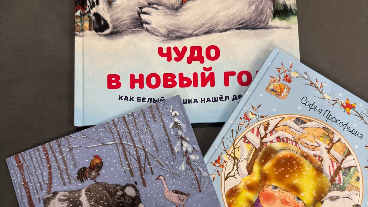 НЕ БУДУ ПРОСИТЬ ПРОЩЕНИЯ, ЧУДО В НОВЫЙ ГОД, ЗИМОВЬЕ ЗВЕРЕЙ. Листаю новогодние зимние книги 