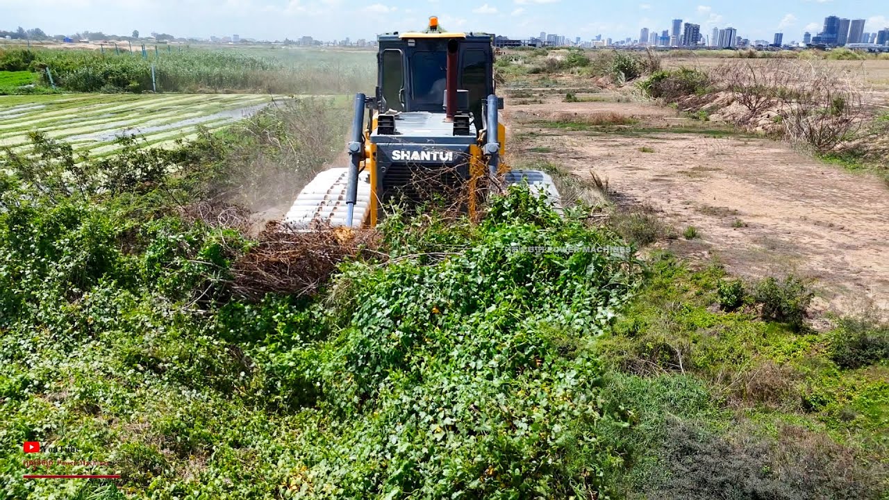 EXCELLENT Exciting SMART Drive​ Cleaner WILD With DOZER SHANTUI Cutting Slop & BUILD QUALTY THE ROAD
