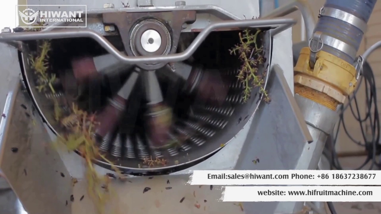 Grape Destemmer Crusher Machine For Making Grape Wine Juice