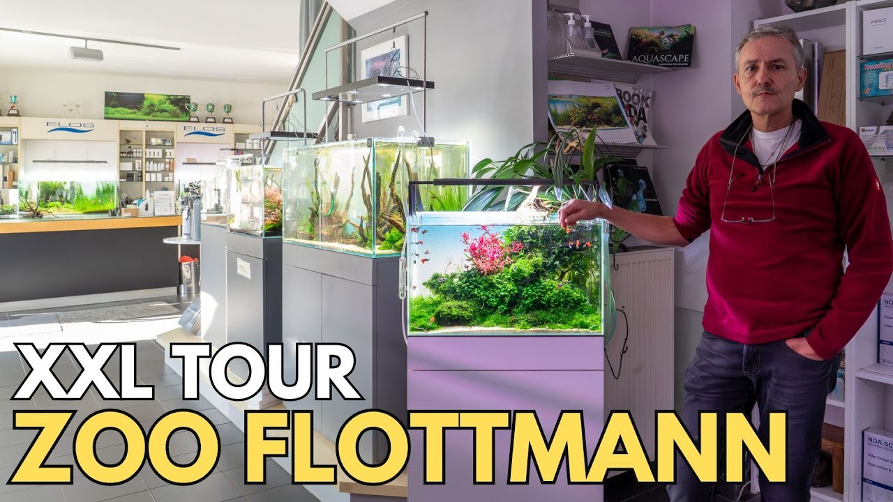 Einer der schönsten Aquarium-Läden in Deutschland!?