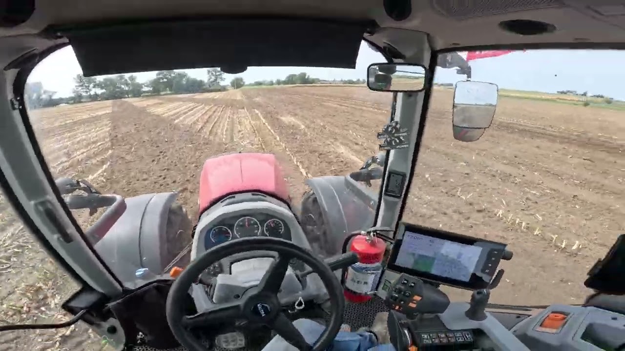 Nie każda POLSKA talerzówka skacze! Talerzowanie po kukurydzy🌽 ROLMAKO U693🔥