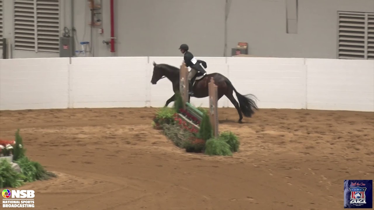 2021 Quarter Horse Congress Non Pro Hunter Classic Morgan Ratkowski on Better Buy The Minit