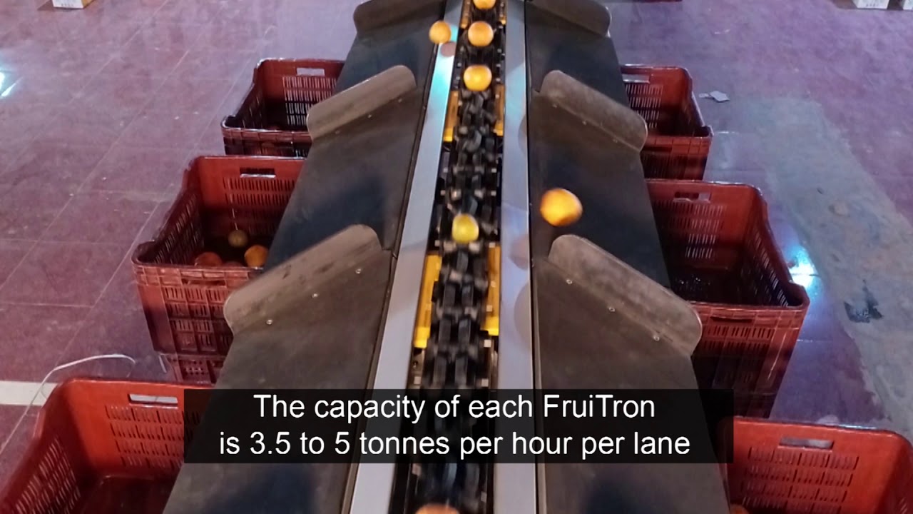 Hortisort - India's First High-Speed Optical Fruit  Grading System