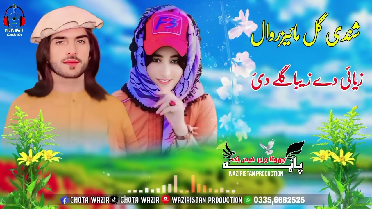 سنگر شندی گل مائیزروال نوی سندرہ زیائی دے زیباگلے دئ Singer Shandi Gul Mizarwal new song Zyai De zib