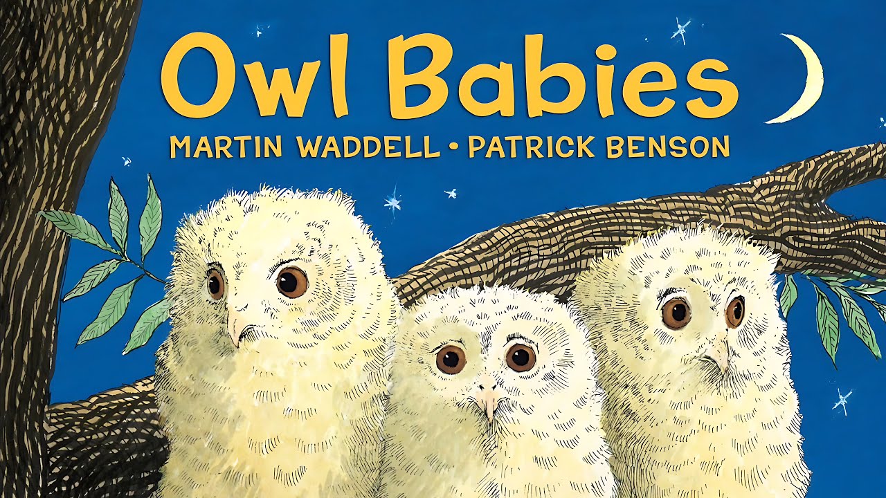 Owl Babies 🌙🦉 | Family & Feelings | Read Aloud for Kids | Hoots & Tales