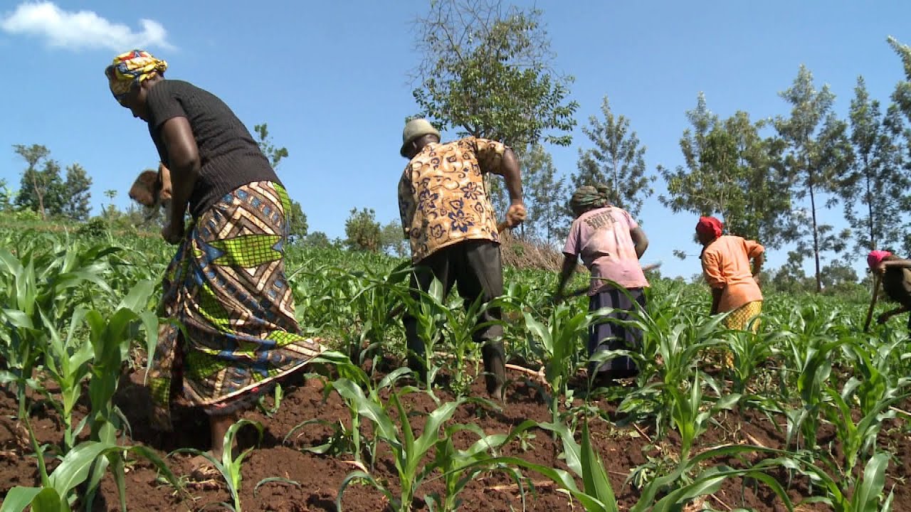 Rwanda: A changing climate