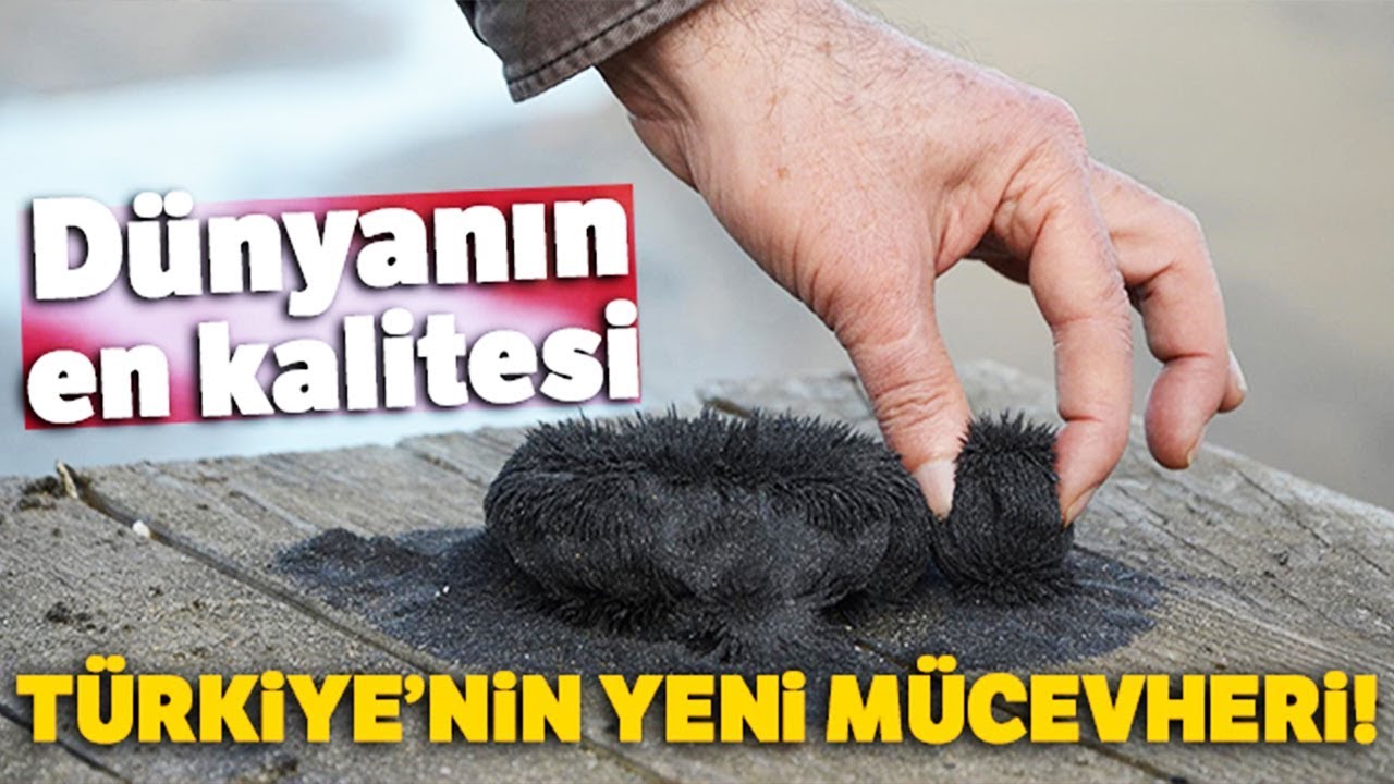 Ünye Kumsallarının Doğal Sağlık Cevheri: 