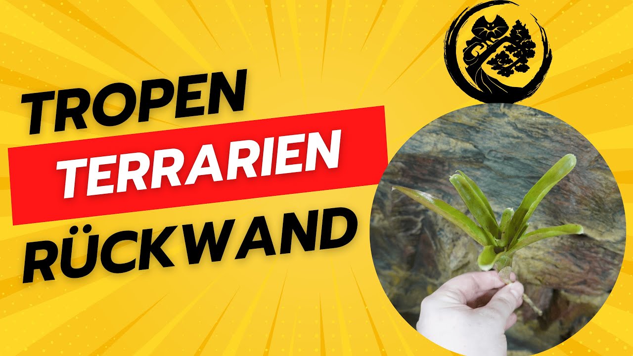 Tropen Rückwand im Terrarium Selber machen!