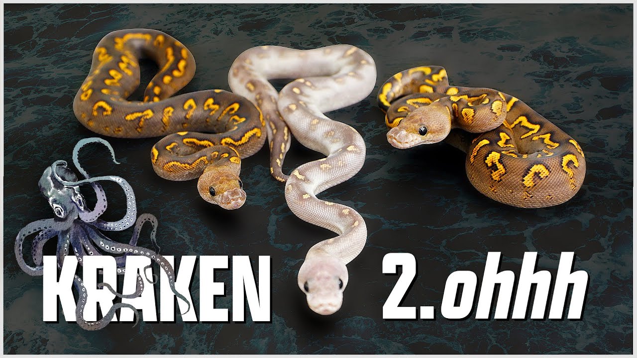 KRAKEN 2.0 CLUTCH! - Mystery is Dragging Me Under...