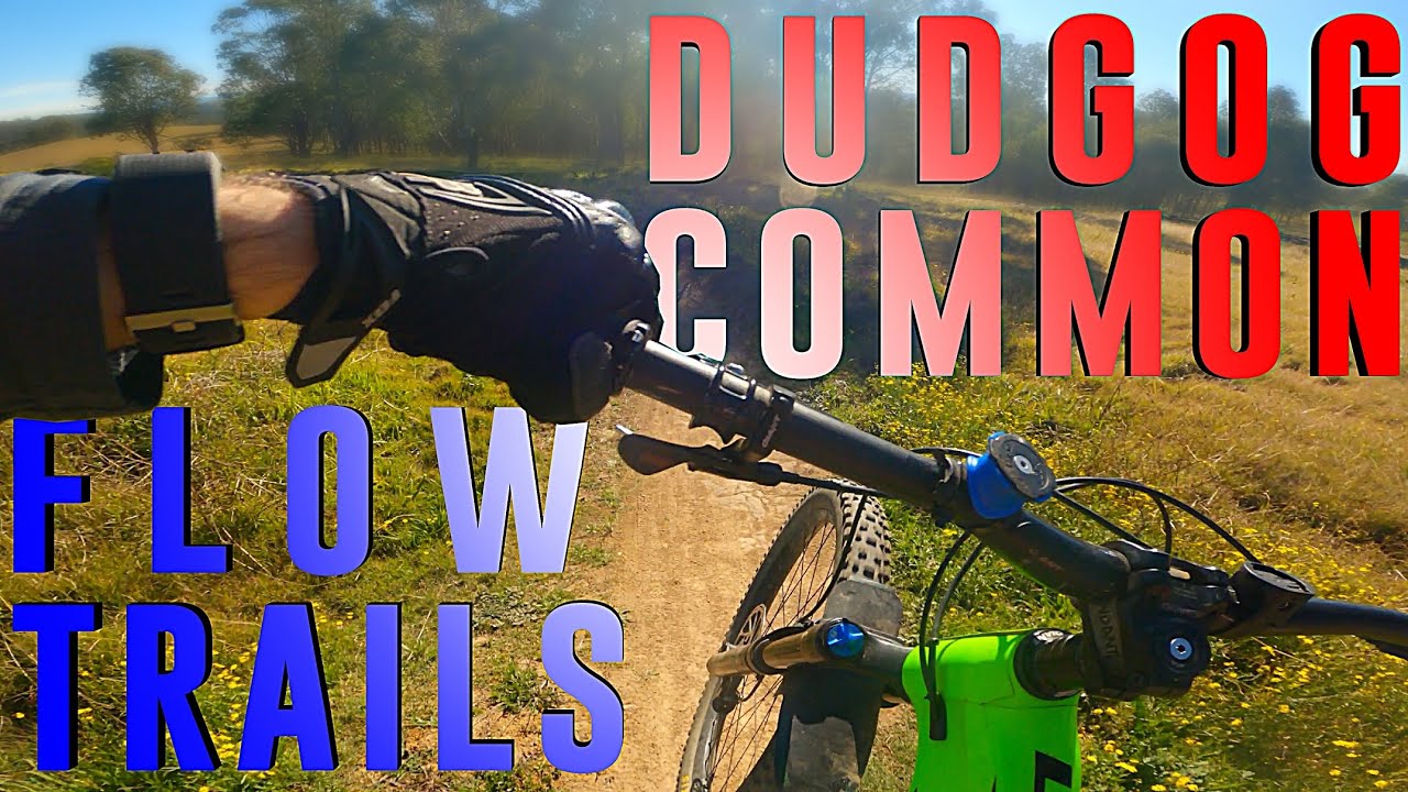DUNGOG MOUNTAIN BIKE TRAILS