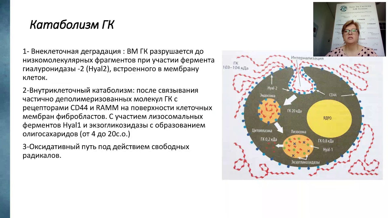 Гиалуроновая кислота - бриллиант в руках косметолога. Вебинар 7 мая