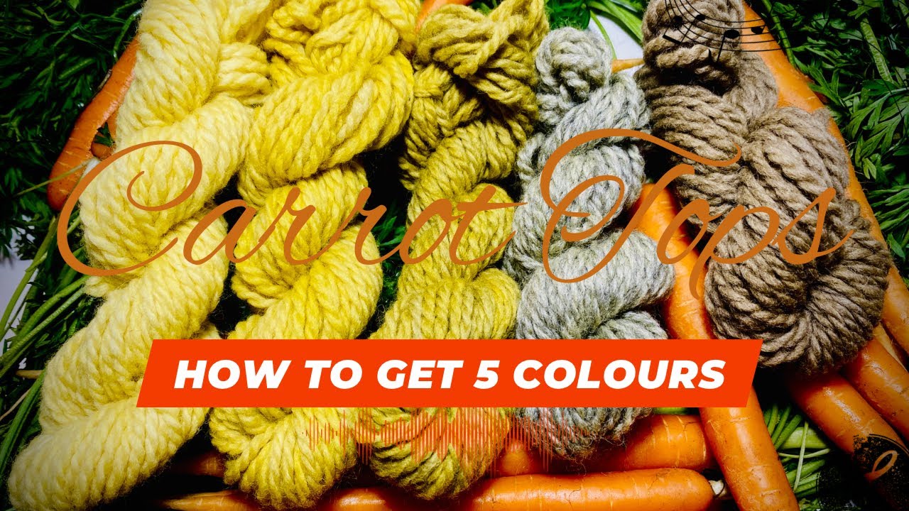 How to Dye Five Colours from Carrot Tops @WildcraftDyeing