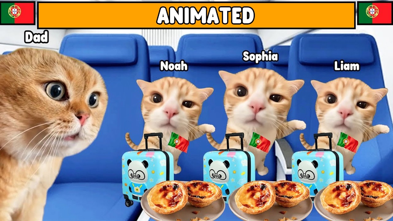 CAT MEMES FAMILY ROAD TRIP TO PORTUGAL