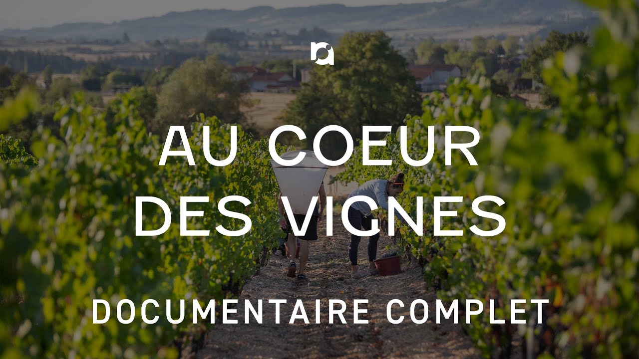 Au coeur des vignes de la Côte Roannaise - Documentaire complet